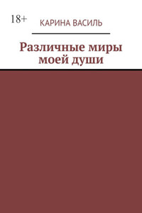 Различные миры моей души. Том 2. Сборник рассказов и стихов