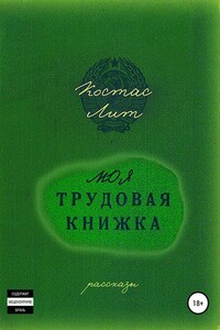 Моя трудовая книжка. Сборник рассказов