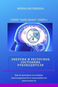 Серия «БАНК МОЗГА». Книга 1. Энергия и ресурсное состояние руководителя. Как не выгорать в условиях многозадачности и масштабности деятельности