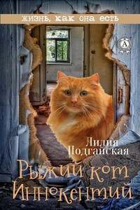 Рыжий кот Иннокентий