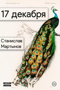 17 декабря