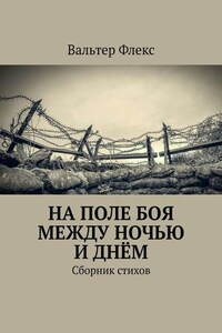 На поле боя между ночью и днём. Сборник стихов