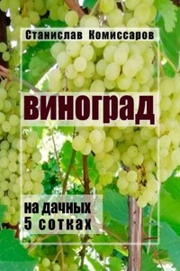 Виноград на дачных 5 сотках. Издание второе, исправленное и дополненное