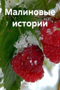 Малиновые истории