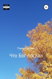 Что Бог послал