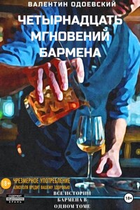 Четырнадцать мгновений бармена