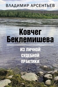 Ковчег Беклемишева. Из личной судебной практики