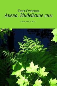 Акела. Индейские сны. Стихи 2016—2017…