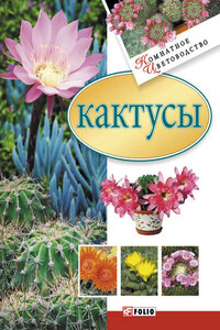 Кактусы