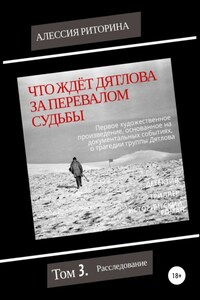 Что ждёт Дятлова за перевалом судьбы. Том 3. Расследование