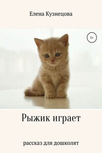 Рыжик играет