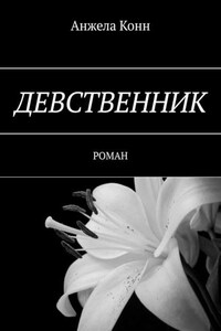 Девственник. Роман