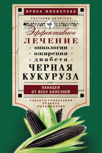 Черная кукуруза, или Панацея от всех болезней. Эффективное лечение онкологии, ожирения, диабета…