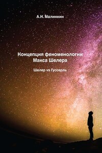 Концепция феноменологии Макса Шелера. Шелер vs Гуссерль