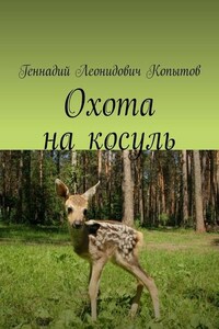 Охота на косуль