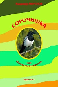 Сорочишка, или Повесть о сороке