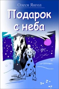 Подарок с неба