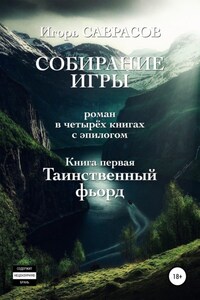 Собирание игры. Книга первая. Таинственный фьорд