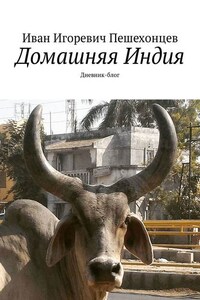 Домашняя Индия. Дневник-блог