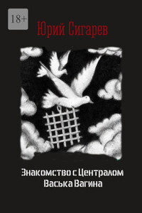 Знакомство с Централом Васька Вагина. Повесть