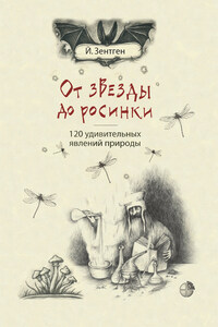 От звезды до росинки. 120 удивительных явлений природы