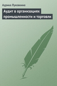 Аудит в организациях промышленности и торговли