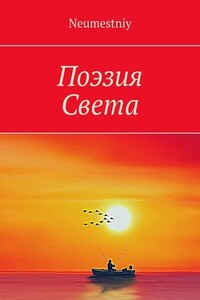 Поэзия Света