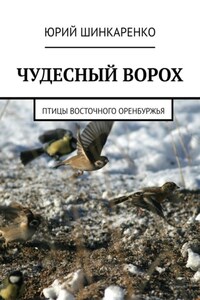 ЧУДЕСНЫЙ ВОРОХ. Птицы Восточного Оренбуржья