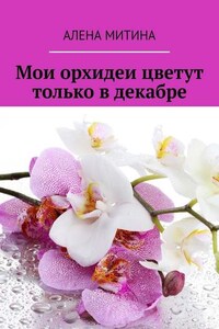 Мои орхидеи цветут только в декабре