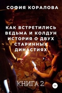 Как встретились ведьма и колдун. Книга 2