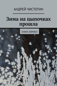 Зима на цыпочках прошла. Книга лирики