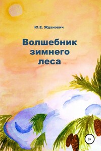 Волшебник зимнего леса