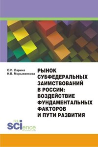 Рынок субфедеральных заимствований в России: воздействие фундаментальных факторов и пути развития. Монография