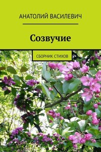 Созвучие. Сборник стихов