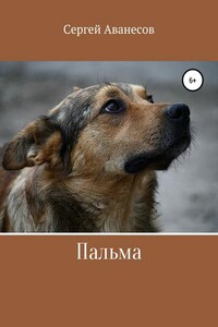 Пальма