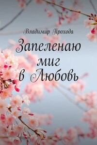 Запеленаю миг в Любовь