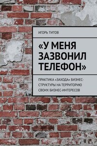 «У меня зазвонил телефон». Практика «захода» бизнес-структуры на территорию своих бизнес-интересов