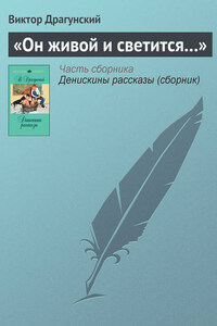 «Он живой и светится…»