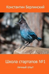 Школа стартапов №1: Личный опыт. 2-ое издание с иллюстрациями