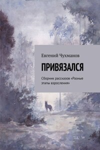 Привязался. Сборник рассказов «Разные этапы взросления»