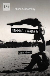 Геймер. Глава V. Серия «Блиц»