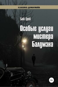 Особые услуги мистера Балдмэна