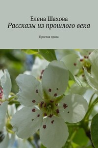 Рассказы из прошлого века. Простая проза