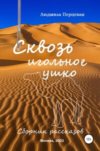 Сквозь игольное ушко. Сборник рассказов