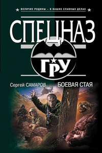 Боевая стая