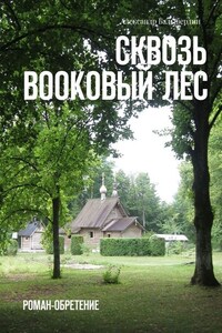 Сквозь Bookовый лес. Роман-обретение