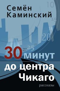 30 минут до центра Чикаго (сборник)