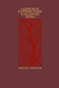 Одинокое путешествие накануне зимы