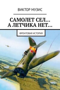 Самолет сел… А летчика нет… Фронтовая история