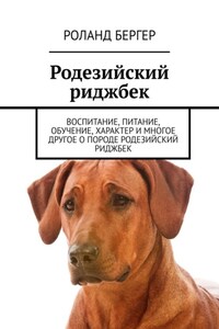 Родезийский риджбек. Воспитание, питание, обучение, характер и многое другое о породе родезийский риджбек